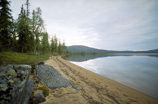 Pallasjärvi